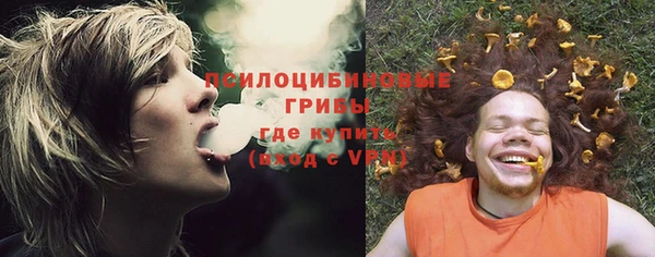 spice Алексин