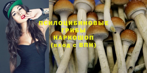 spice Алексин