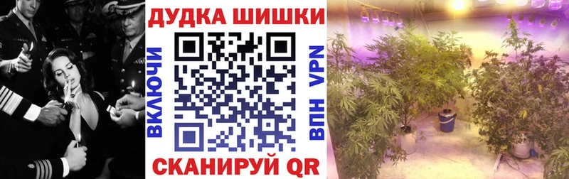kraken как зайти где продают наркотики Амурск Марихуана марихуана